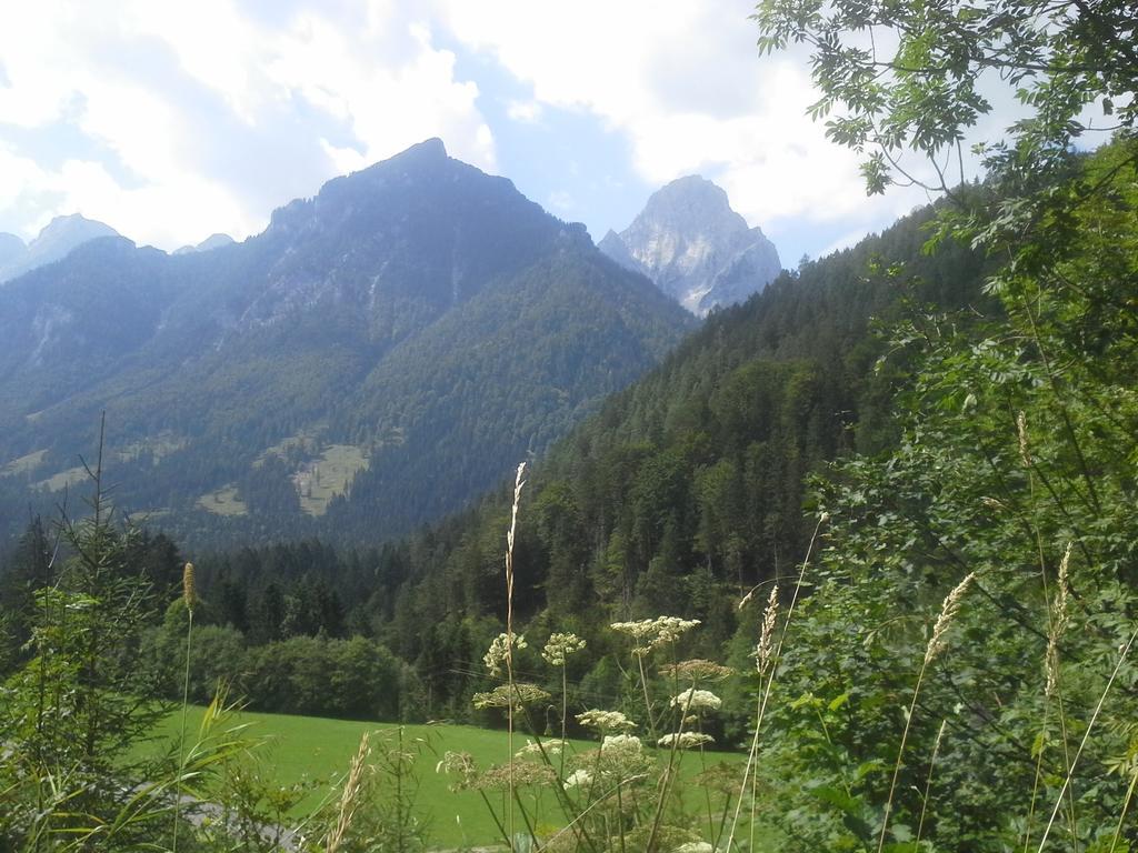 Waldhaus Daire Hinterstoder Dış mekan fotoğraf