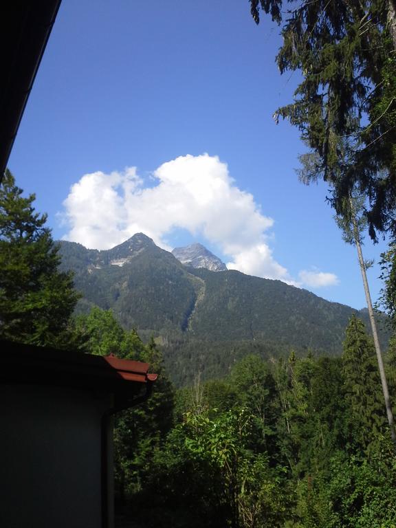 Waldhaus Daire Hinterstoder Dış mekan fotoğraf