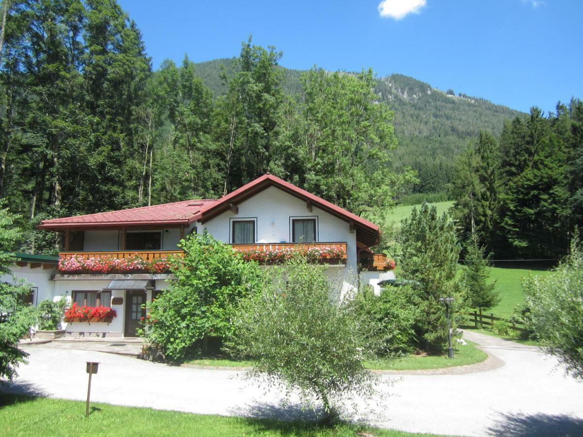 Waldhaus Daire Hinterstoder Dış mekan fotoğraf